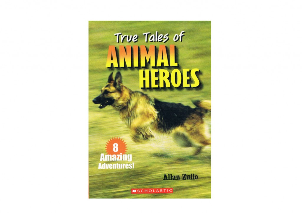 True Tales Of Animal Heroes Allan Zullo